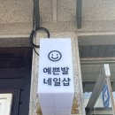 횡성산마루더덕 이미지