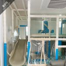 센토르7 이미지