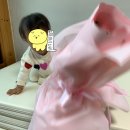 포즈앤치즈스튜디오 네이버블로그