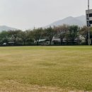 이천시파크골프장 | 📍이천시파크골프장, 일동파크골프장 기본 정보