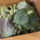 서진농장 이미지