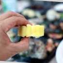 GS25목포북항점 | 목포 현지인들도 인정한 윤이네수산 목포방어! 목포북항회센터에서 맛본 그 진정한 맛의 후기!