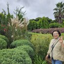 제주허브동산 이미지