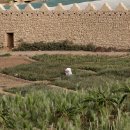 S. 아라비아, 폭염에도 불구하고 사막에서 더 많은 식량 재배 이미지