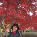 루터대학교 이미지