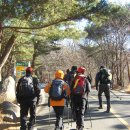 김해 신어산(634m) 산행(060205) 이미지