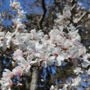 중부대학교 원격대학원 이미지