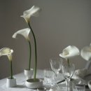 아이디어플라워 이미지