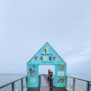 [괌자유여행4일차]괌여행 마지막날코스로 딱인 피쉬아이수중전망대 방문후기🐟