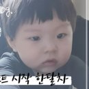 차니애드 이미지