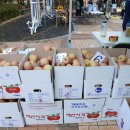 가양1동 주민센터 이미지