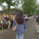 별바우목장 이미지