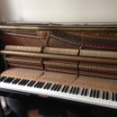 미주3차크리닝 이미지