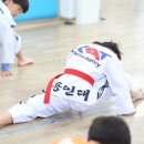 용인대KAT태권도 이미지