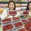 노화농협하나로마트