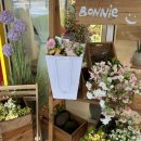 (11/23) 플라워박스 꽃꽂이 | 인천 송도 꽃집 보니달리아플라워 꽃다발 꽃바구니 원데이클래스(가격, 위치, 주차)