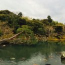 [오사카3일]나라공원, 교토 덴류지 이미지