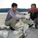 일산해수욕장4(행정봉사실) 이미지