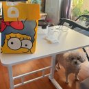 한입주개 이미지