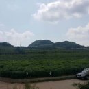 혜성공인중개사사무소 이미지