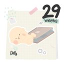 임신 29주차 : 다시 토덧