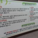 사계절멸치쌈밥
