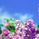 관양본신경외과의원 이미지