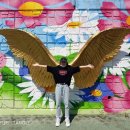 짚와이어체험장 이미지