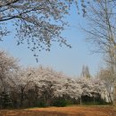 벚나무공원 화장실 이미지