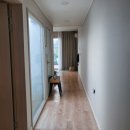 스테이낭 이미지