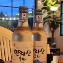 제주도게스트하우스 유로민박 | 제주도게하 제주도게스트하우스파티유로민박 리뷰