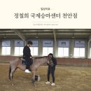 정철희 국제승마센터 | 천안승마 체계적인 레슨 정철희 국제승마센터 천안점