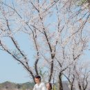 솔마루공인중개사사무소 이미지