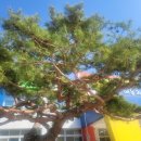 외산초등학교 이미지