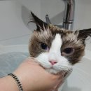 호텔누누 이미지