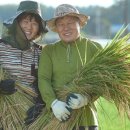 광택농장 이미지