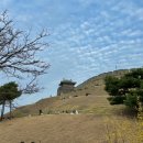 개미반점 - 칠곡군 인동가산로 1028 | 개미반점