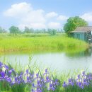 아이눈부셔 - 노원구 | 아이눈부셔