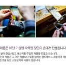 앤펄 Daum카페