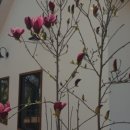 안성퓨전 이미지