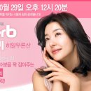 다원몰