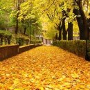 이런곳도있네 이미지