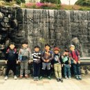 라이온태권도체육관 이미지