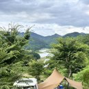 고양이 행복구역 | 충주 카이로스 캠핑장 명당 B 구역 사이트 추천! 2인전용 캠핑장 고양이 친구들