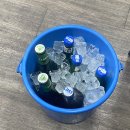 돼지영농후계자(초전점) 이미지