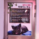 남원정육점 - 원주시 우산초교길 43 | 남원정육점