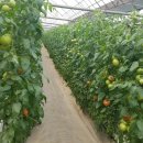 수연농장 이미지