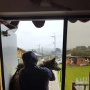 백록동물병원 이미지