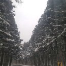 스테이 소로 이미지