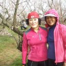 운림농원 이미지